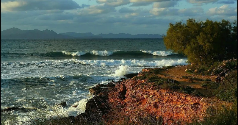 Les spots de la côte Est, du Queensland à la Tasmanie